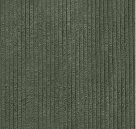 Darven 08 Corduroy Fabric